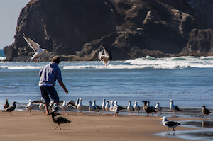 oregon_coast