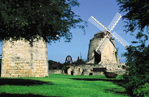 sugar_plantation