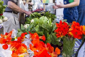 fresh_veggies_at_market