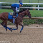 Plan your photo shoot - Wayne Hoover - Triple Crown Winner