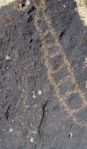 deer_valley_petroglyph_preserve_ladder