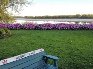 berry_barn_and_river