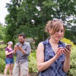 Mirrorless cameras are perfect for shooting stock photos