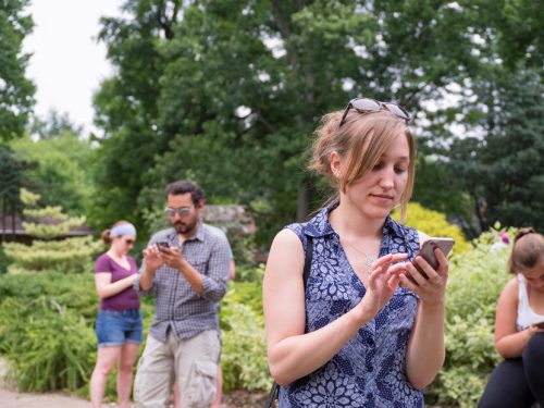 Mirrorless cameras are perfect for shooting stock photos