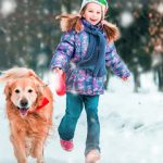 winter photograph stock photography