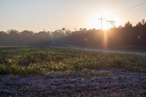 You don't need fancy equipment to become a better photographer. Sometimes you just need to slow down...