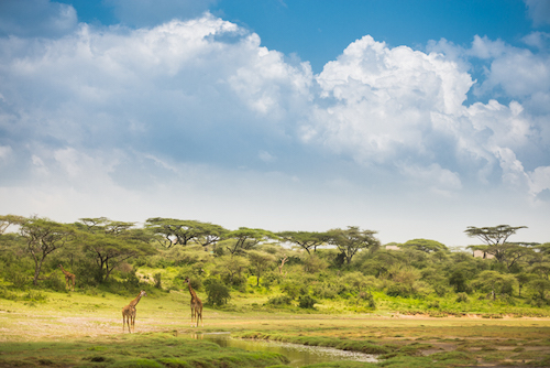 How to restore a dull sky to a blue sky in Lightroom...