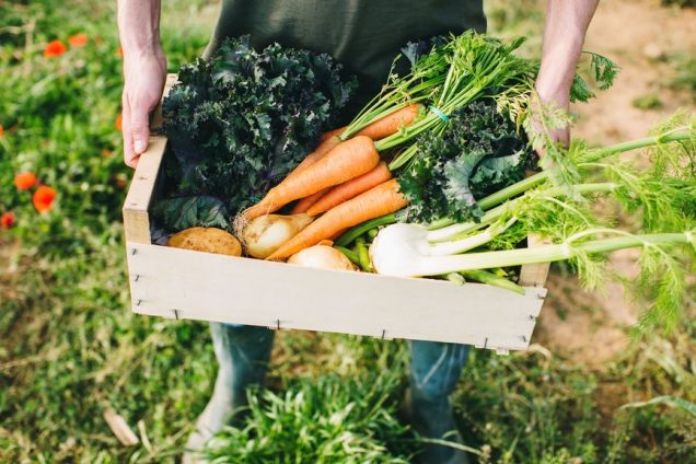 SIx tips for photographing food for stock