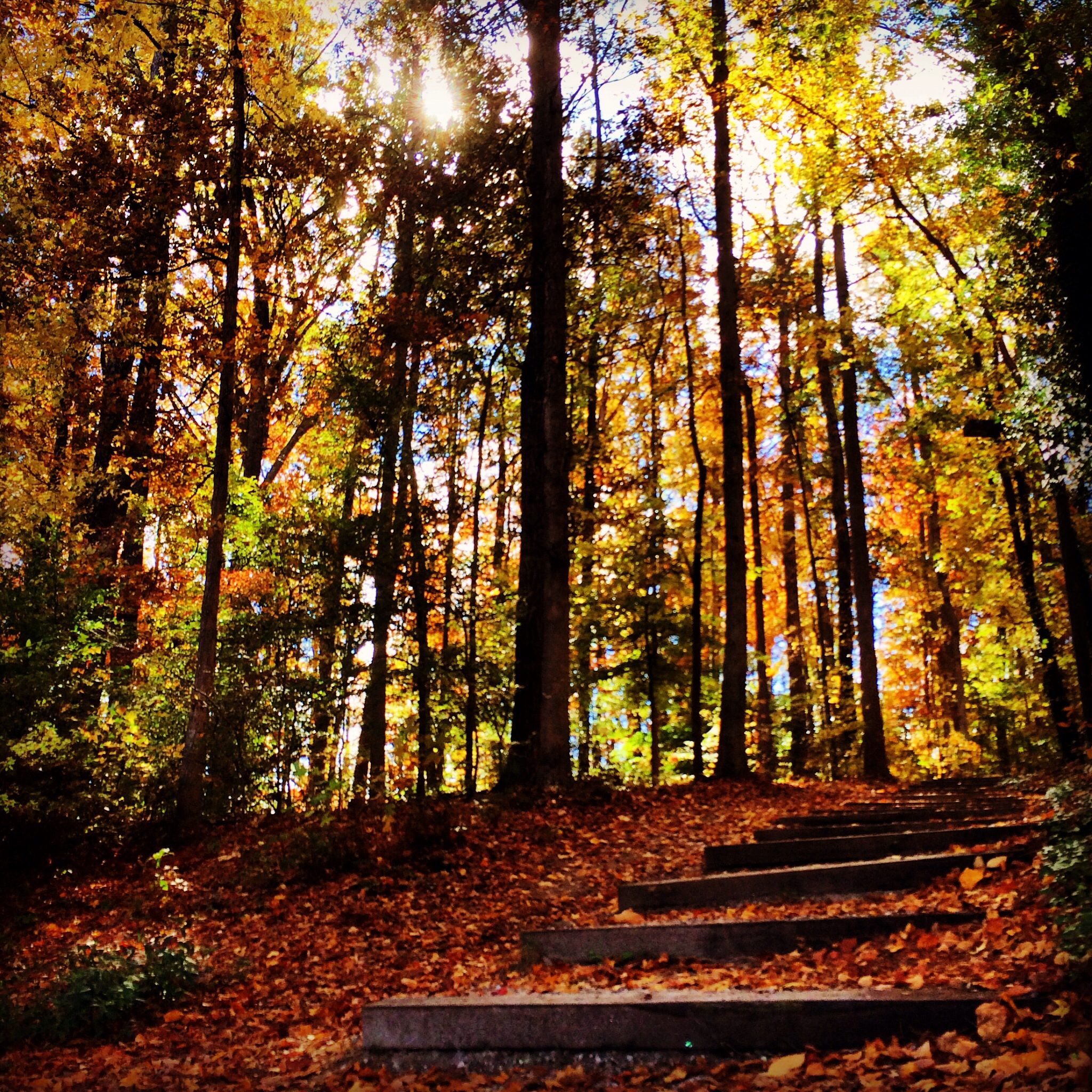 photo editing with instagram
