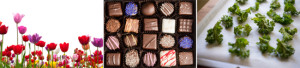 best-sellers-banner