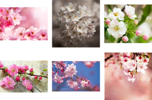 how Lightroom improves photos