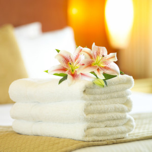 shutterstock_1517734