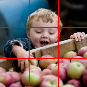 apple-kid-grid