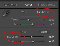 digital photo processing