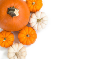 Pumpkins against white background, top view