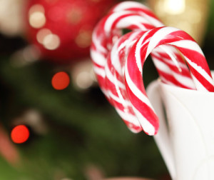Christmas Candy Canes by the Christmas tree