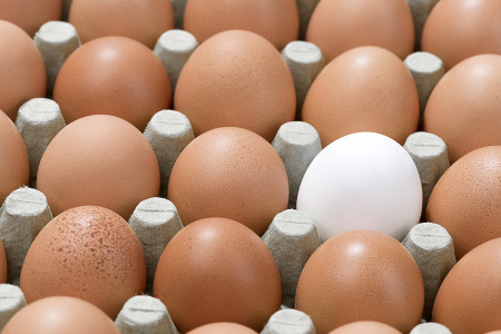 Stand out of crowd - individuality concept